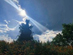 -武陵山森林公园