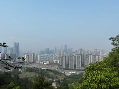 -南山植物园