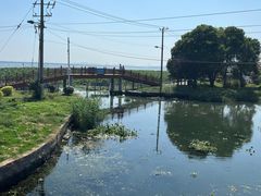 -莲花岛景区