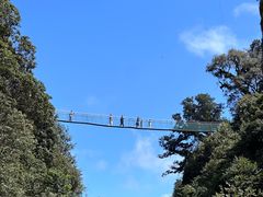 -大围山国家森林公园