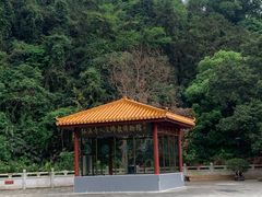 -深圳仙湖植物园