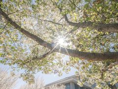 -东南大学(九龙湖校区)