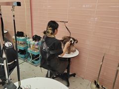 -FAELING PETS美天灵宠物(合生汇店)