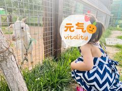 -泰生小镇旅游景区