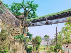 -长廊欢乐园