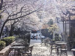 -玛格萝妮比萨屋(四平店)