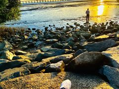 -宝安西湾红树林湿地公园