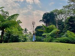 -中国科学院西双版纳热带植物园