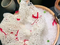 -季季山·云南野生菌火锅(上海首店)