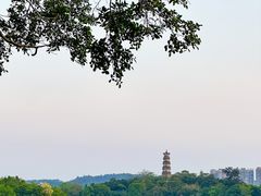 -阿妹小海鲜(下角店)