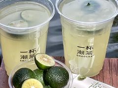 -一杯潮茶·专注潮汕茶饮(朝阳庄店)