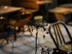 -悟饮门市景店