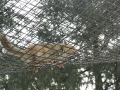 -国色天乡三期陆地乐园