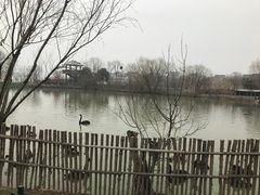 -长兴太湖图影湿地文化园
