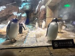 -波塞冬海底世界