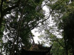 -青城山