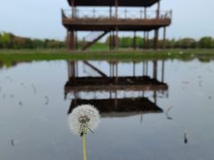 -嘉北郊野公园