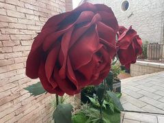 -华谊兄弟（长沙）电影小镇