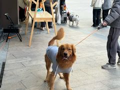 -佛山京华广场MALL