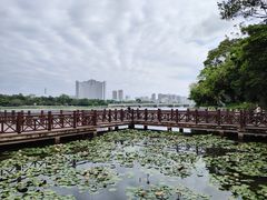 -南宁南湖公园