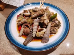 椒麻鲜汁捞三螺-小船渔村·大连菜(新华街店)
