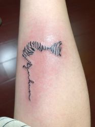 -明星刺青·洗纹身
