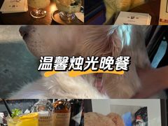 -咖法森林·咖啡  酒吧(天河店)