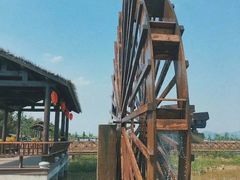 -漩门湾国家湿地公园