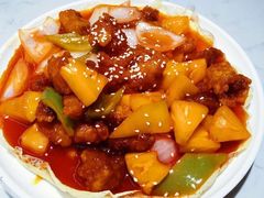 -南枝记