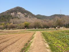 -八卦田遗址公园