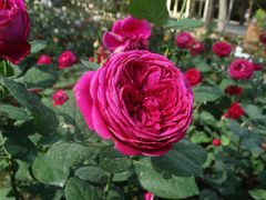 -人民公园(罗湖区)