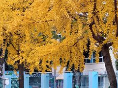 -四川大学(望江校区)
