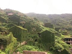-枸杞岛