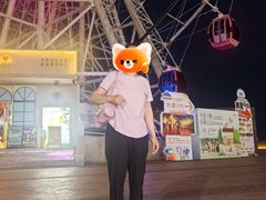 -琴岛之星摩天轮