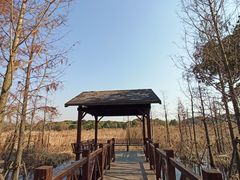 -同里国家湿地公园