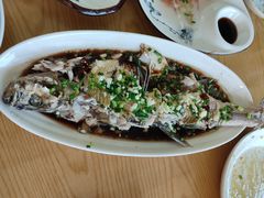 清蒸白鱼-宾湖农庄·农场特色(太湖龙之梦店)