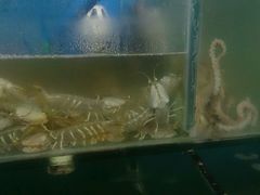 鱼缸-海滨假日渔家海鲜