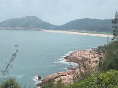 -广东惠东海龟国家级自然保护区