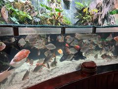 -太平洋海底世界