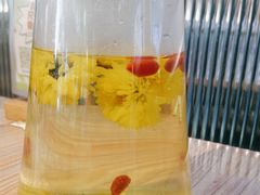 -探窝·竹笙椰子鸡(杨箕店)