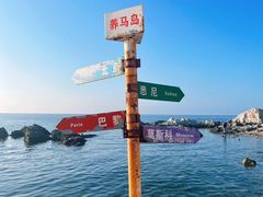 -养马岛旅游度假区