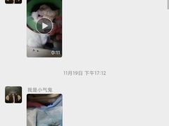 -守诺宠物医院·眼科· 特色牙科·异宠专科(虹口店)
