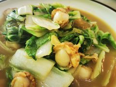 菠菜扇贝水晶粉-小郭私房菜·海肠捞饭店(学士街店)