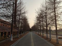 -祝甸砖窑文化馆