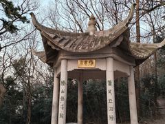 -紫金山山顶公园