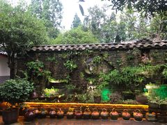 -青城甲(青城山店)