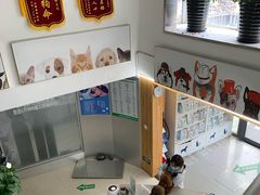 -爱侣宠医·鹦鹉专科·小型哺乳类·异宠专科(灵石路店)