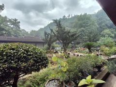 -天台山景区