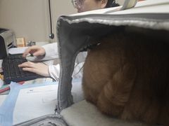 -瑞鹏宠物医院·爱宠堂·骨外专科(西荷分院)