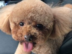 -佳雯宠物医院(四明中路分院)